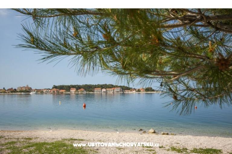 Apartmanok Sharo – fotó 12