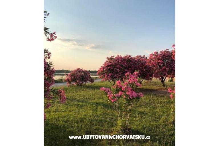 Apartmanok Tin&amp;Tin – fotó 15