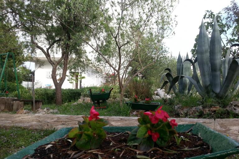 Apartmanok Vlado – fotó 7