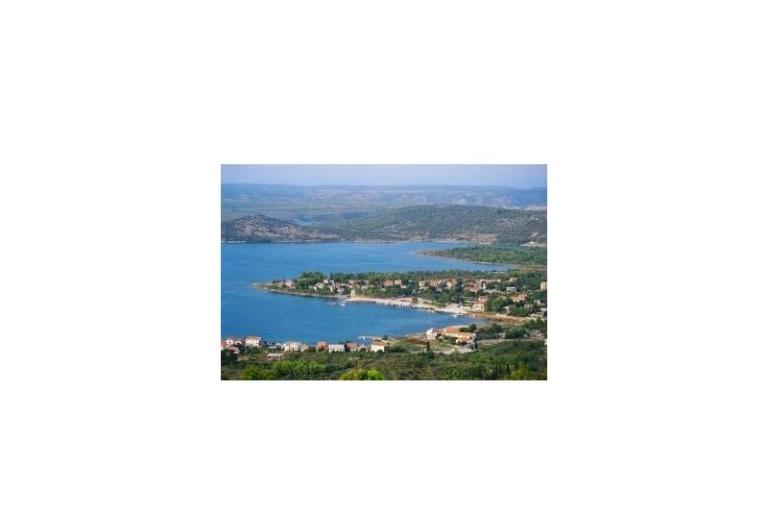 Dalmatian – fotó 7