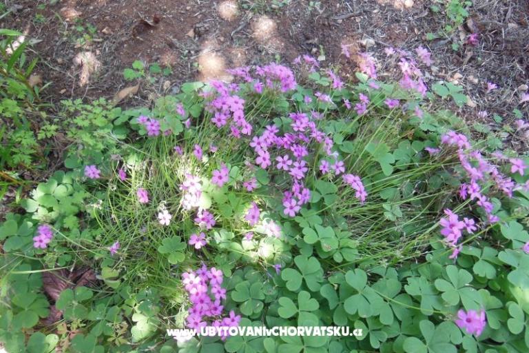 Holidayhome Oleander – fotó 13