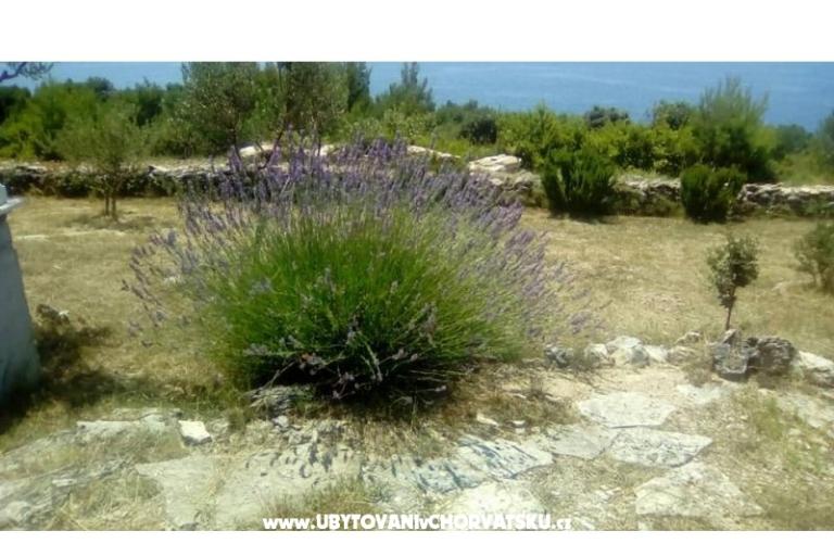 Apartmanok Villa Mare – fotó 9