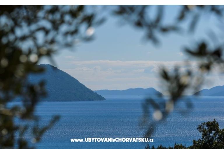 Pansion Sunce – fotó 15
