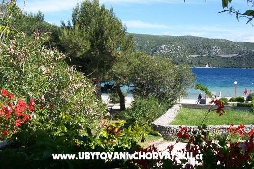 Apartmanok POLAČA - Slano – fotó 9