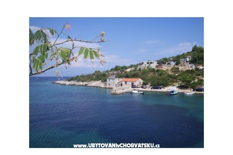 Vesna Batinic – fotó 16