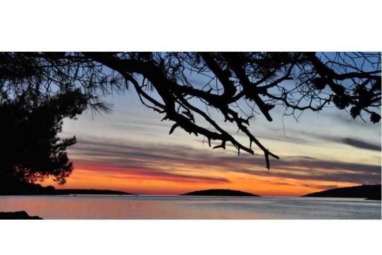 Apartmanok Oliva - Otok Šolta – fotó 11