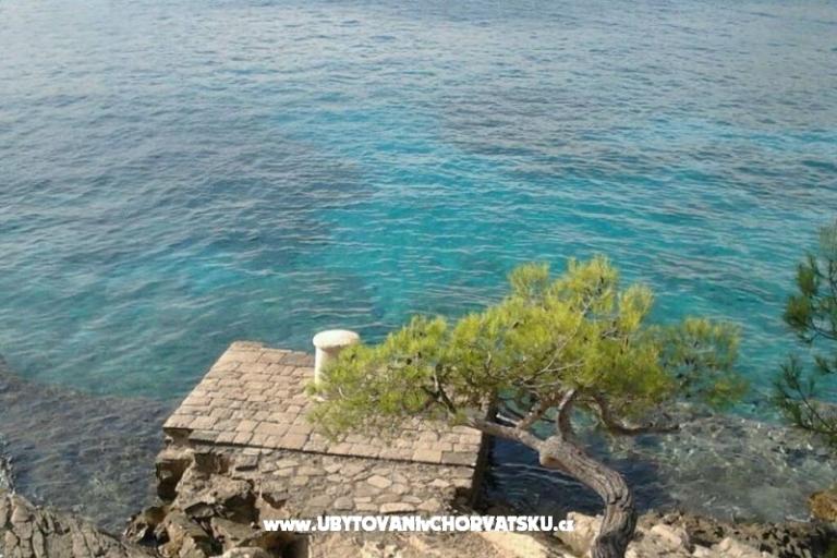 Apartmanok Oliva - Otok Šolta – fotó 12