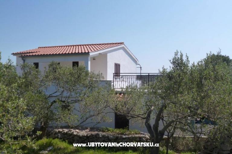 Apartmanok Oliva - Otok Šolta – fotó 8
