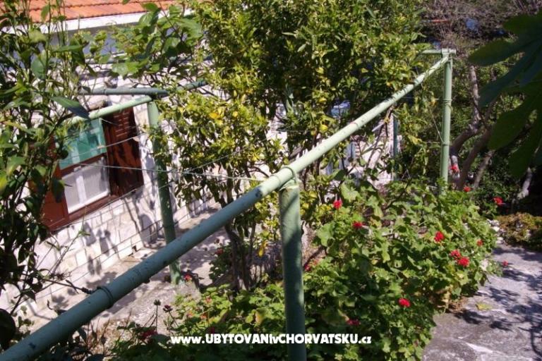Vakáció Villa Marijeta – fotó 4