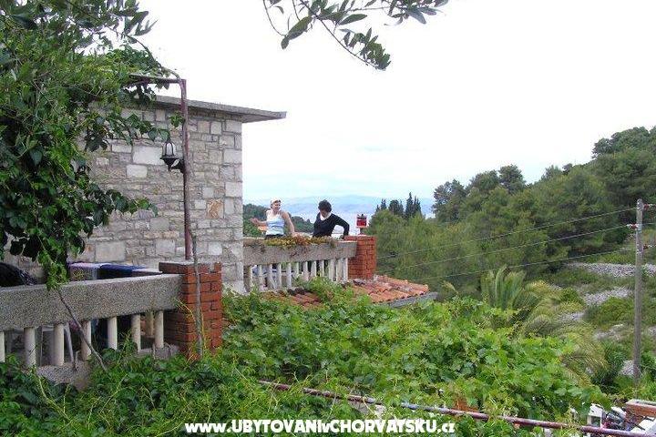 Villa Palmira – fotó 3