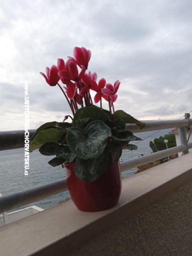 Apartman Jagoda – fotó 23