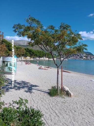 Apartman Jagoda – fotó 7