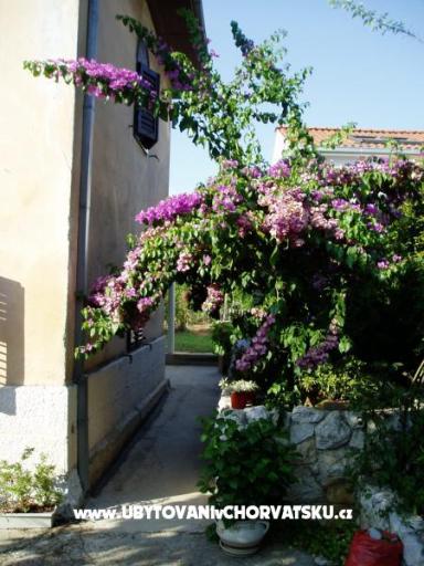 Apartman Nevica – fotó 16