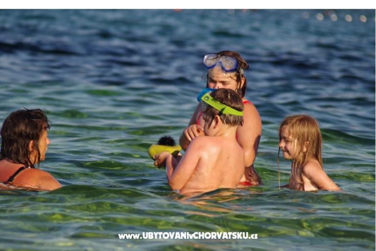 Big Blue – fotó 18