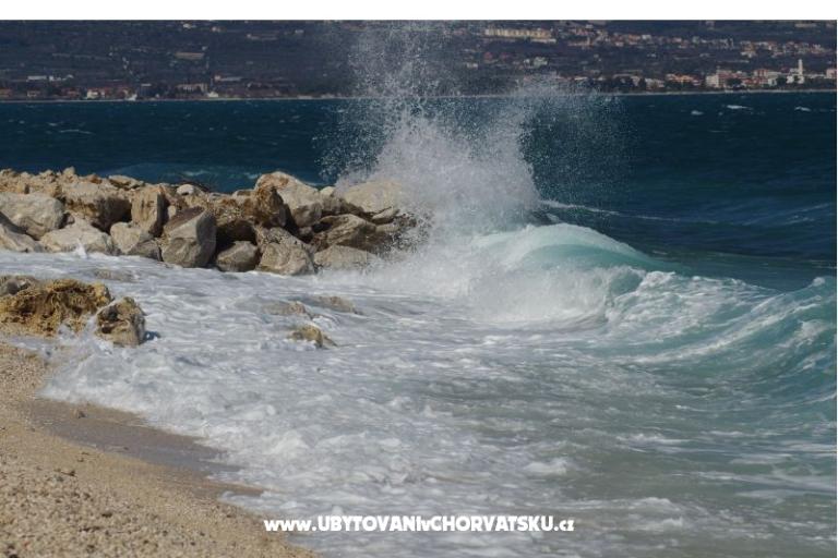 Big Blue – fotó 6