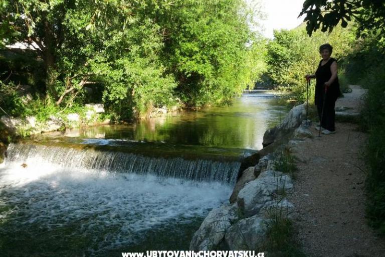 Whole house & garden only for you – fotó 13