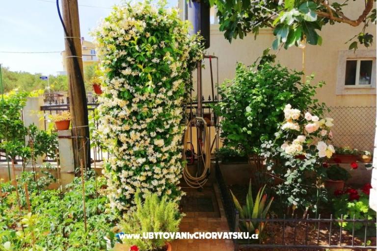 Apartmanok Brković – fotó 8