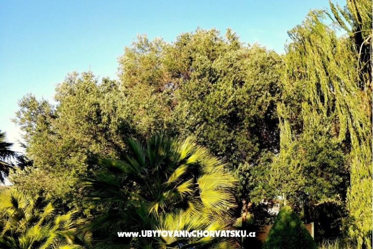Apartmanok DARIO - Sukošan – fotó 37