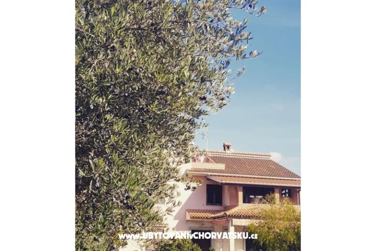 Apartmanok DARIO - Sukošan – fotó 54