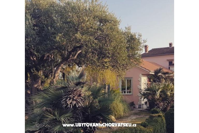 Apartmanok DARIO - Sukošan – fotó 77