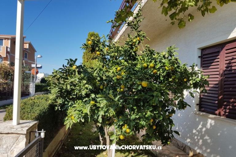 Apartmanok Žeger – fotó 13