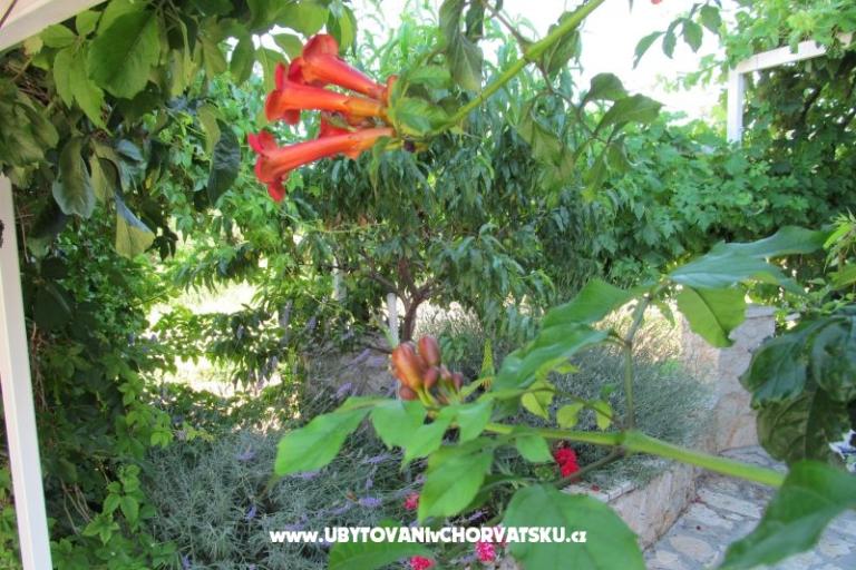 Apartmanok Žeger – fotó 6