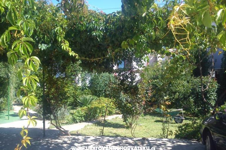 Apartmanok Tamara – fotó 4