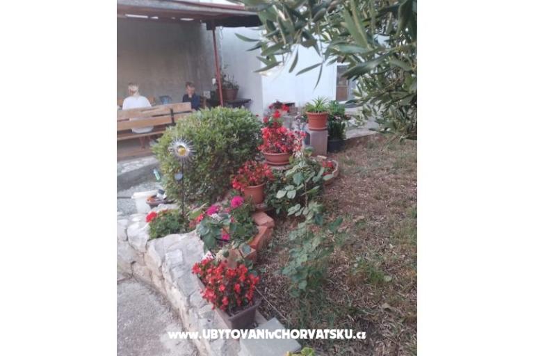 Apartmanok Daša – fotó 16