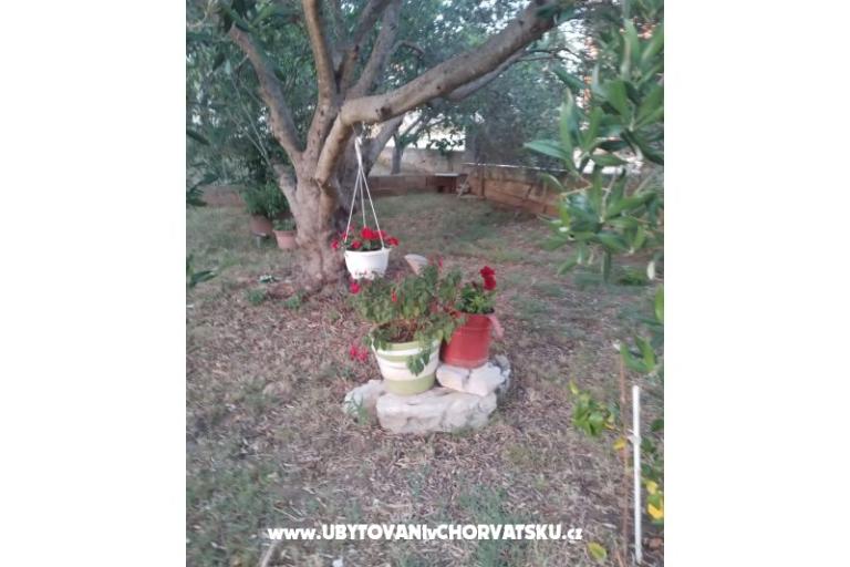 Apartmanok Daša – fotó 17