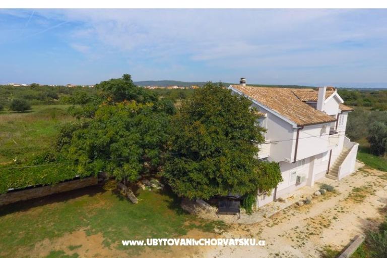 Apartmanok Ela – fotó 5