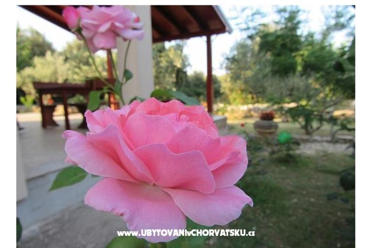 Vakáció Dević – fotó 2