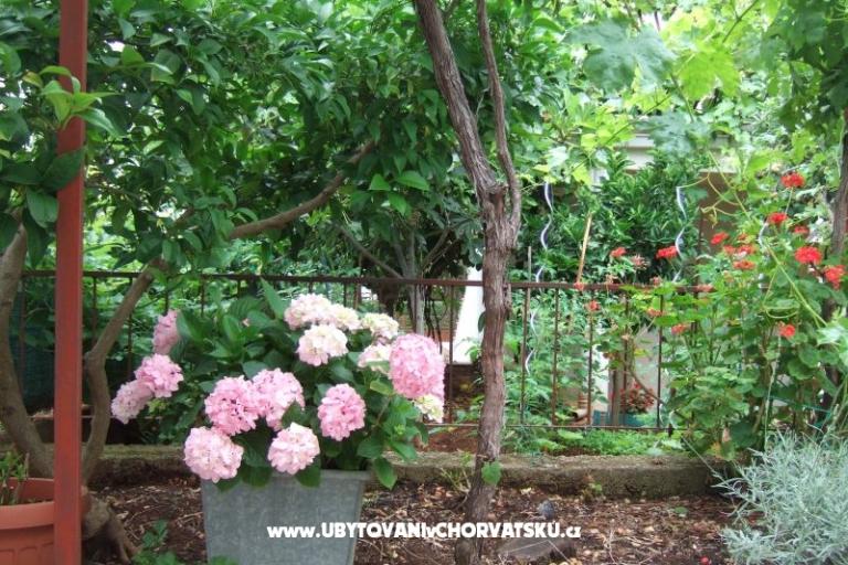 Apartman Lenka – fotó 7