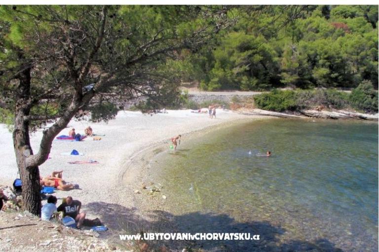 Apartmanok Beba – fotó 17