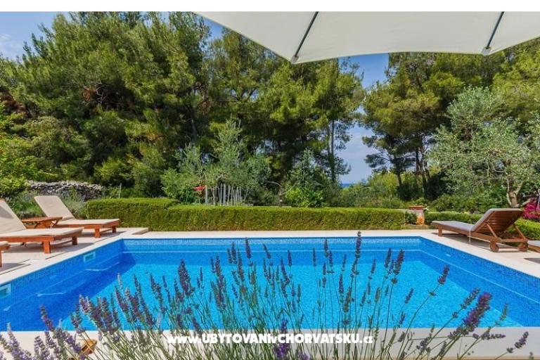Villa Kamenica – fotó 4