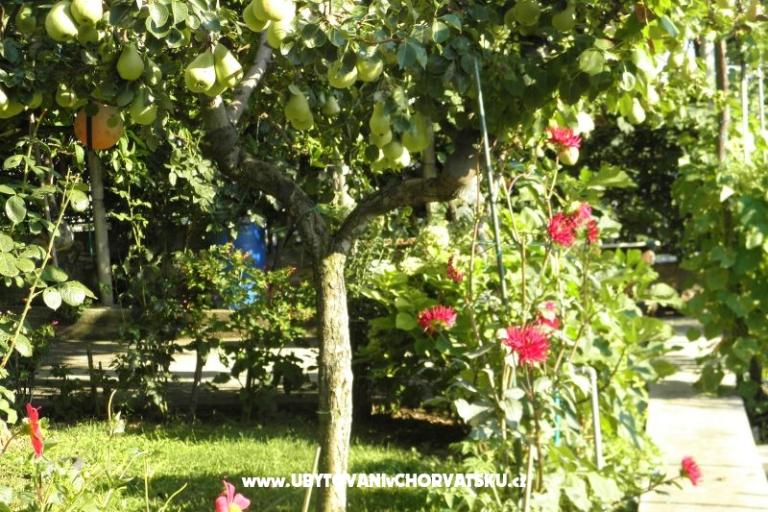 Apartmanok Lucija – fotó 16