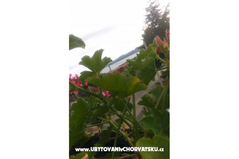 Apartmanok Ira – fotó 11