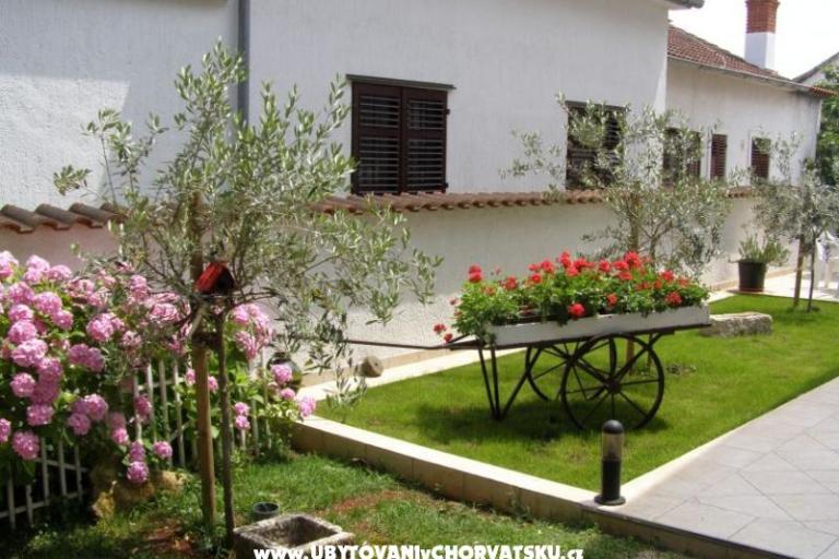 Apartmanok Roviš – fotó 7