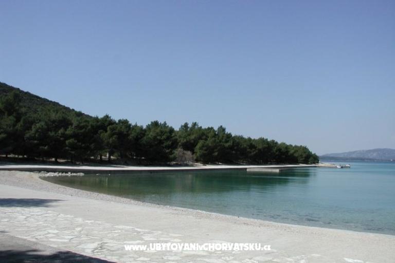 Apartmanok Adi – fotó 5