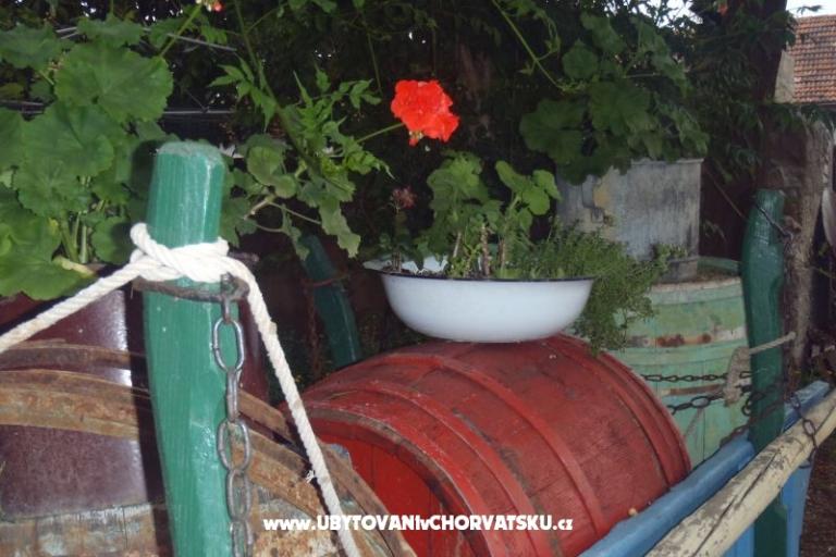 Apartmanok Mara – fotó 17