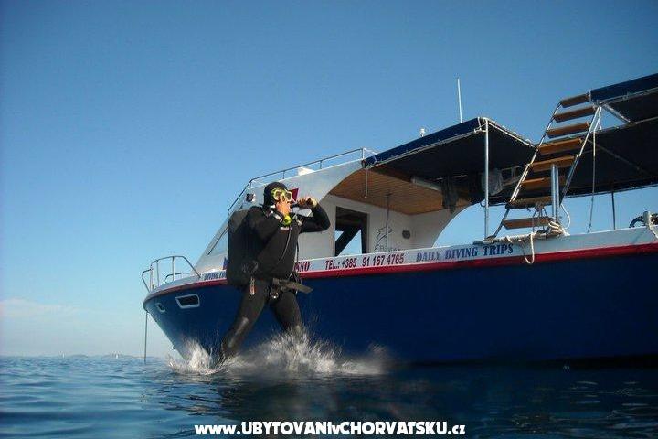 Acommodation centre FUN DIVING – fotó 17