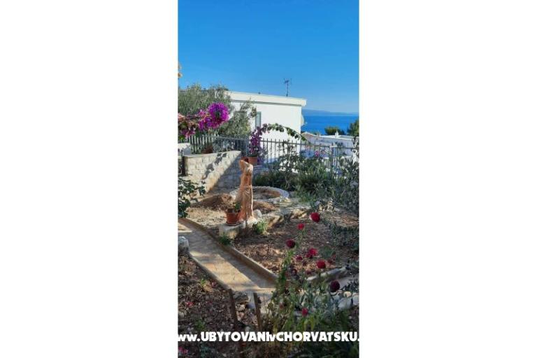 Apartman Galeb – fotó 16