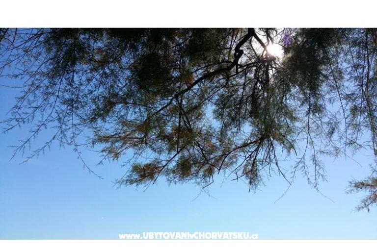 Apartman Rita – fotó 8