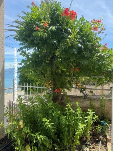 Apartmanok Adria – fotó 20