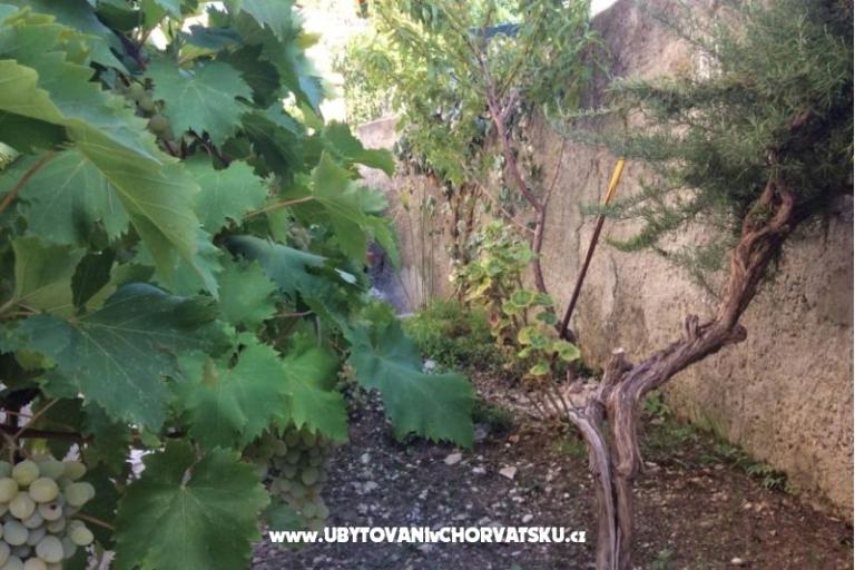 Apartmanok Adria – fotó 5