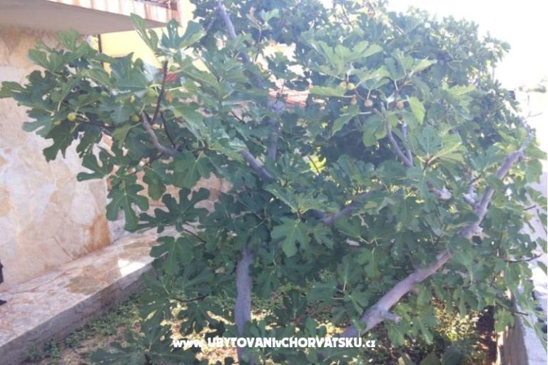 Apartmanok Adria – fotó 6