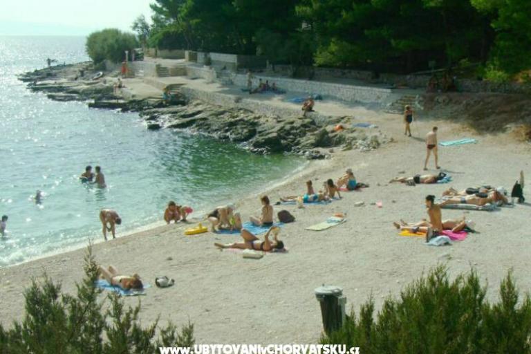 Apartmanok Aniva – fotó 15