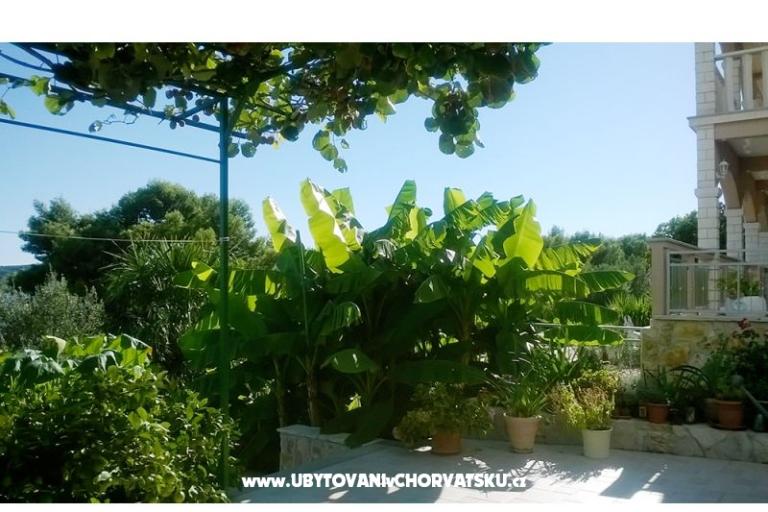 Apartmanok Anka Marin – fotó 8