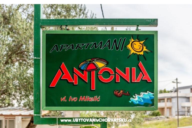 Apartmanok Antonia – fotó 18