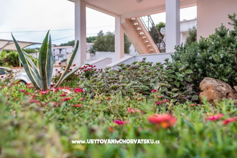 Apartmanok Antonia – fotó 6