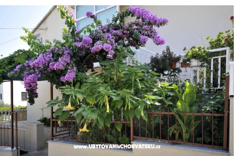 Apartmanok Borna – fotó 18
